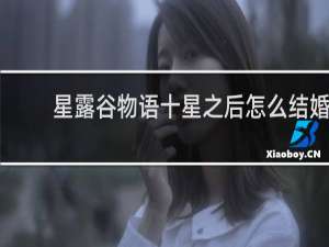 星露谷物语十星之后怎么结婚
