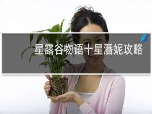 星露谷物语十星潘妮攻略