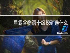 星露谷物语十级挖矿选什么