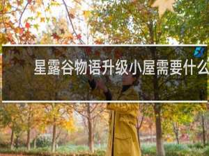 星露谷物语升级小屋需要什么