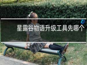星露谷物语升级工具先哪个