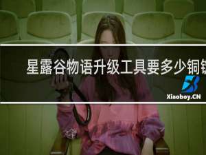 星露谷物语升级工具要多少铜锭