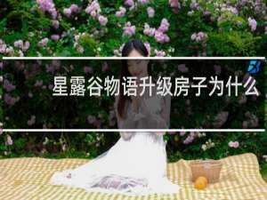 星露谷物语升级房子为什么