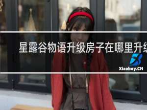 星露谷物语升级房子在哪里升级