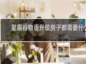 星露谷物语升级房子都需要什么