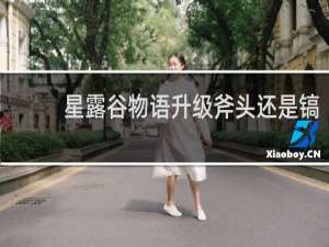 星露谷物语升级斧头还是镐