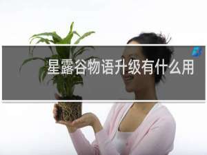 星露谷物语升级有什么用