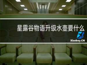 星露谷物语升级水壶要什么