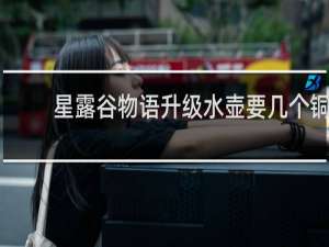 星露谷物语升级水壶要几个铜