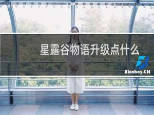 星露谷物语升级点什么