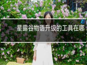 星露谷物语升级的工具在哪