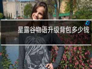 星露谷物语升级背包多少钱