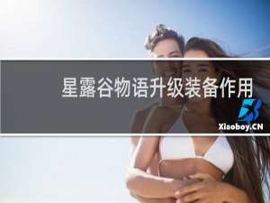 星露谷物语升级装备作用