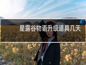 星露谷物语升级道具几天