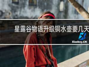 星露谷物语升级铜水壶要几天