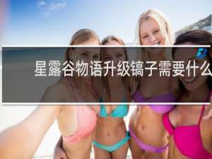 星露谷物语升级镐子需要什么