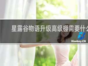 星露谷物语升级高级棚需要什么