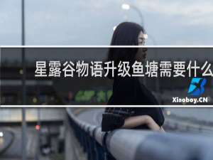 星露谷物语升级鱼塘需要什么
