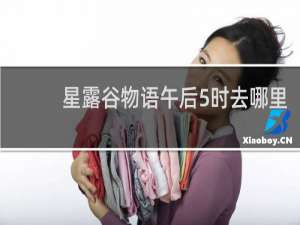 星露谷物语午后5时去哪里