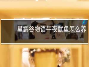 星露谷物语午夜鱿鱼怎么养