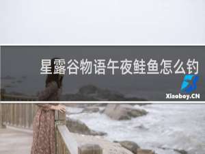 星露谷物语午夜鲑鱼怎么钓