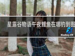 星露谷物语午夜鲤鱼在哪钓到图片
