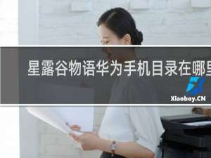 星露谷物语华为手机目录在哪里
