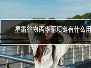 星露谷物语华丽项链有什么用