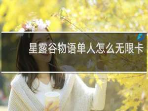星露谷物语单人怎么无限卡