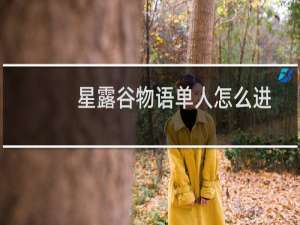 星露谷物语单人怎么进