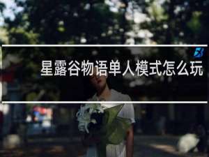 星露谷物语单人模式怎么玩