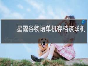 星露谷物语单机存档该联机