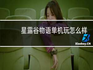 星露谷物语单机玩怎么样