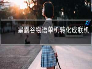 星露谷物语单机转化成联机