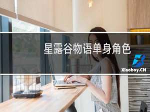 星露谷物语单身角色