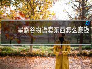 星露谷物语卖东西怎么赚钱