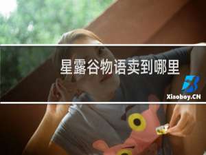 星露谷物语卖到哪里