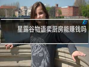 星露谷物语卖厨房能赚钱吗