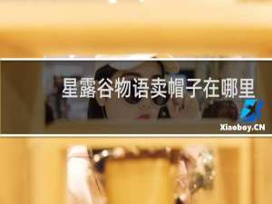 星露谷物语卖帽子在哪里