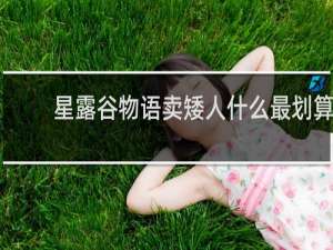 星露谷物语卖矮人什么最划算