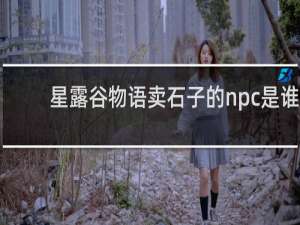 星露谷物语卖石子的npc是谁