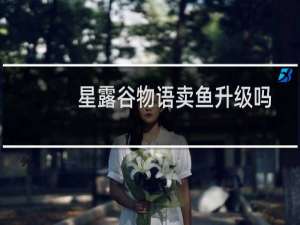 星露谷物语卖鱼升级吗