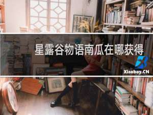星露谷物语南瓜在哪获得