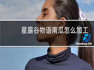 星露谷物语南瓜怎么加工