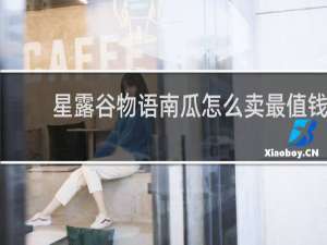 星露谷物语南瓜怎么卖最值钱