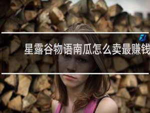 星露谷物语南瓜怎么卖最赚钱