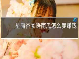 星露谷物语南瓜怎么卖赚钱