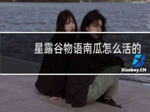 星露谷物语南瓜怎么活的
