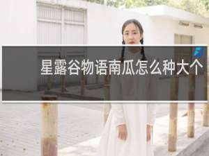 星露谷物语南瓜怎么种大个