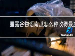 星露谷物语南瓜怎么种收得最多